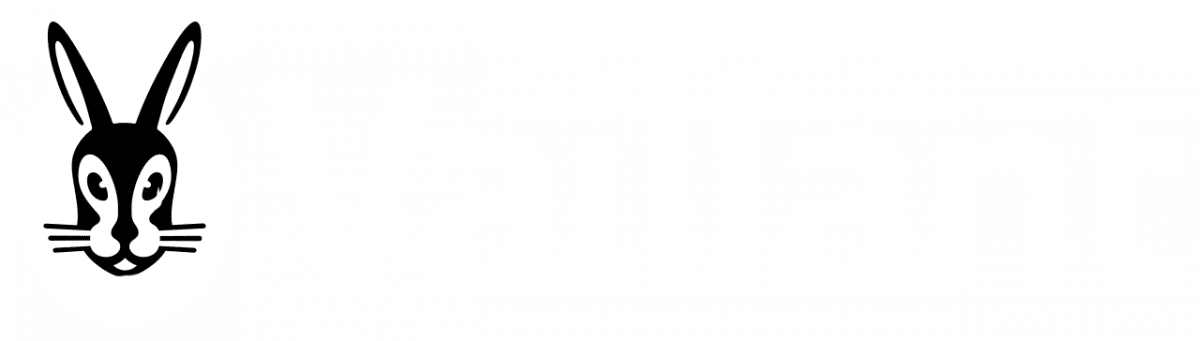 vaillant-logo-weiss-1200x341